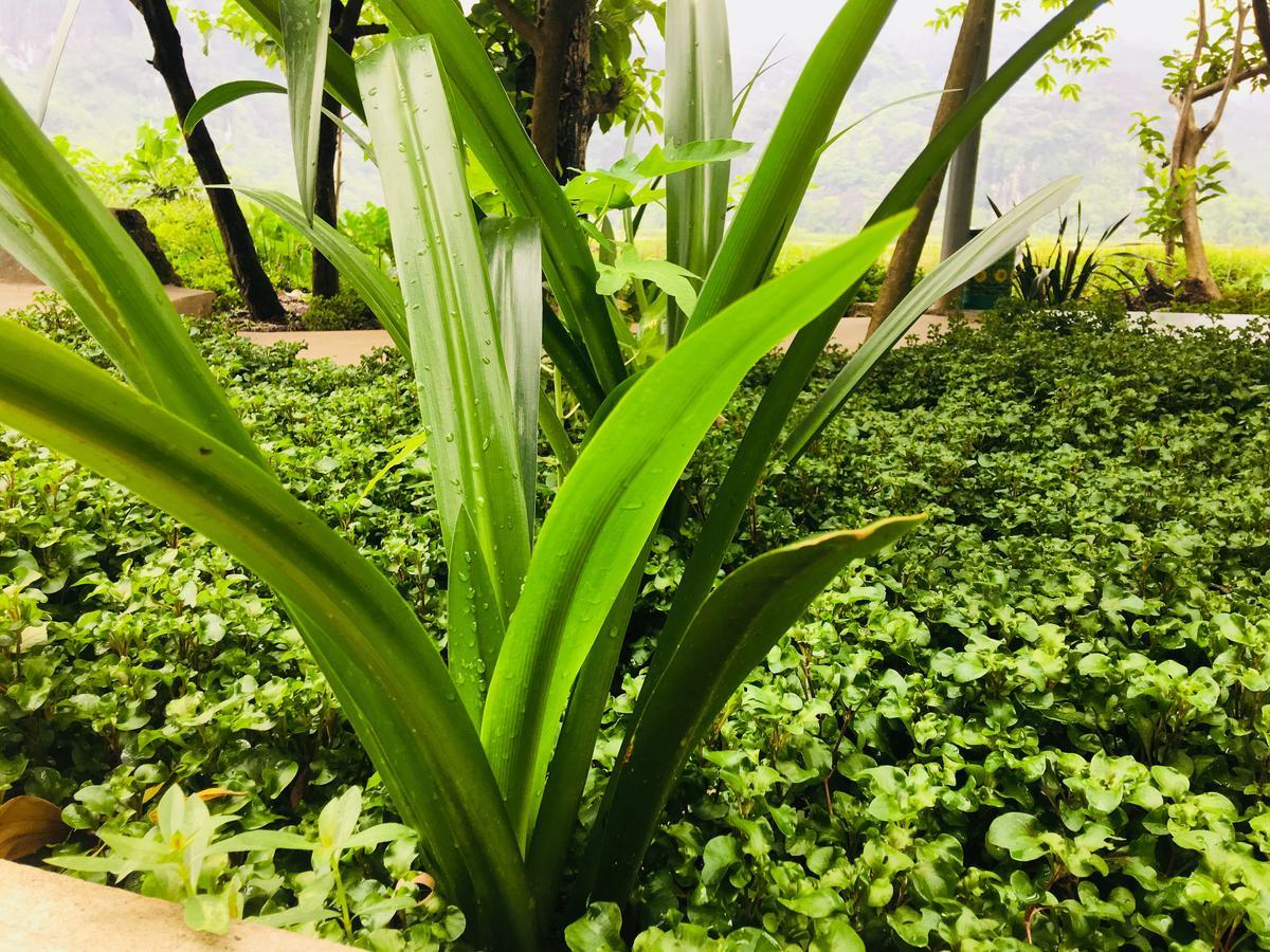 Trang An Nature House Ninh Binh Bagian luar foto